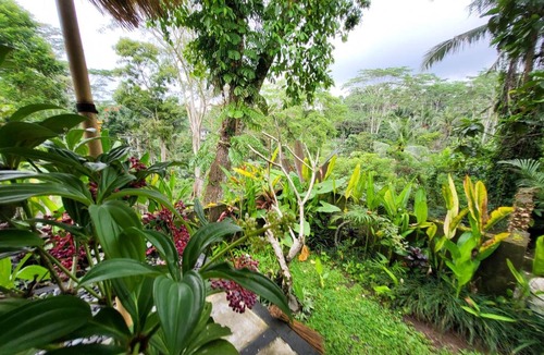 Kenderan Bed & Breakfast | BB House Ubud