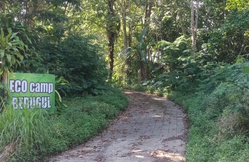 Candikuning Bed & Breakfast | BEDUGUL Backpackers camp