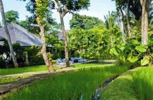 Saba House | Bedulu Cliff Estate Ubud-5 Bedroom Villa