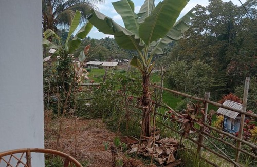Kecamatan Labuhan Haji House | Choppers house