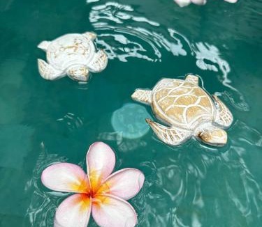 Sanur Villa | CROFFLE COTTAGE SANUR - Walk to the Beach & ICON Mall