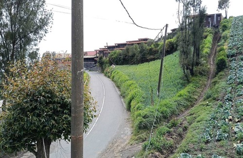 Ngadisari House | Den Bagus Bromo