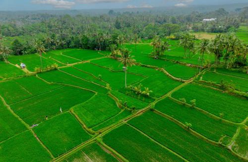 Sebatu Hotel | Dukuh Sebatu Villa Ubud