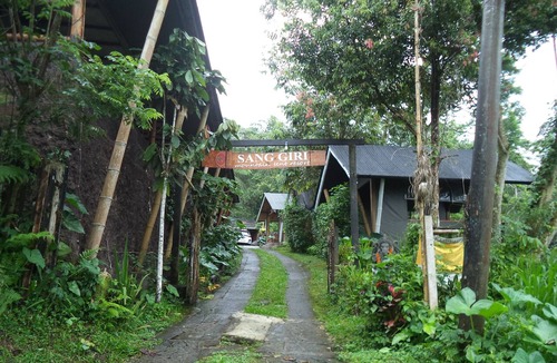 Penebel RV Rental | Family Tent for 2 Adult + 3 Children, Jatiluwih, Rainforest and Mountain View