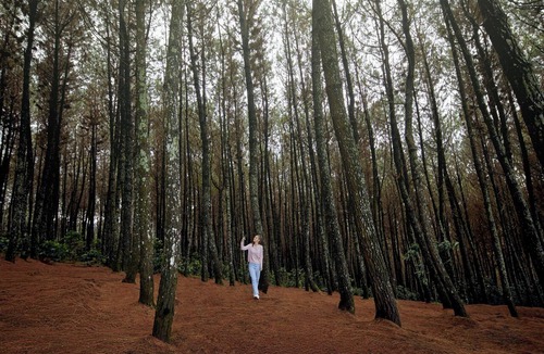 Bandung Hotel | Four Points By Sheraton Bandung