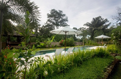 Melayang Villa | Garden 1BR Villa With A Large Pool! - 6Min Drive To The Monkey Forest!
