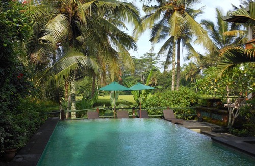 Kedewatan Apartment | Garden Apartment with Swimming Pool