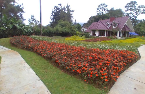 Megamendung Villa | Gardenia Park Villa Melur