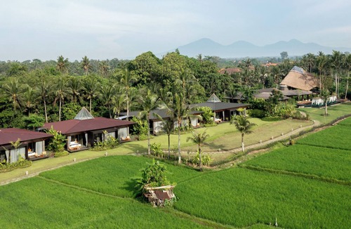 Mas Resort | GDAS Bali Health & Wellness Resort