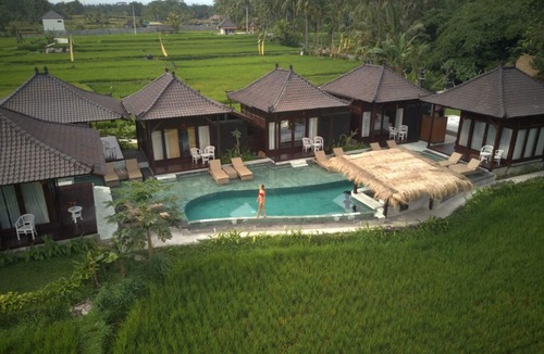 Kenderan Villa | Great location near Ubud, Pool View