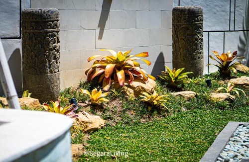 Suraberata House | Guest houses in Balian, Indonesia
