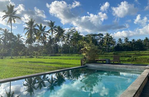 Tegallalang Hotel | Hening suites Ubud
