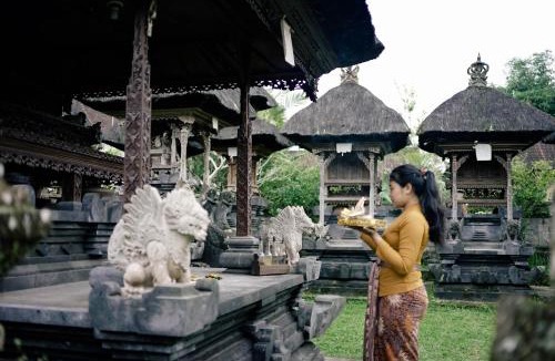 Taro House | Homestay D'BANDEM