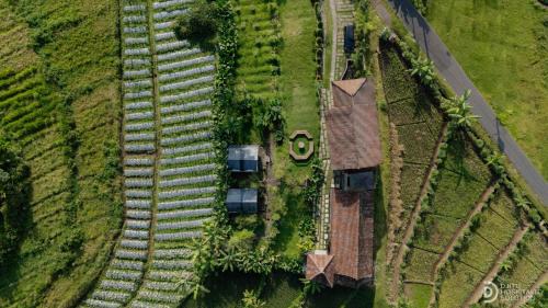 Wonosobo Cabin | Jawa Dwipa Villa