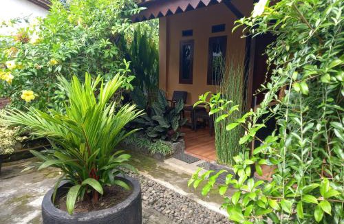 Banyuwangi House | Juda Homestay