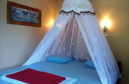 Bukit Lawang House | Junia Guesthouse Bukit Lawang