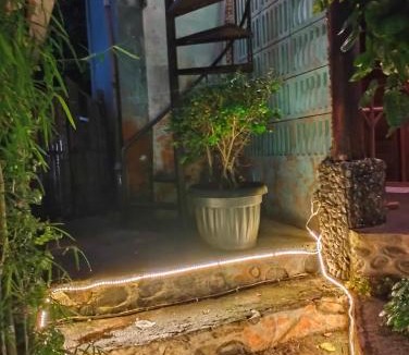 Bukit Lawang House | Junia Guesthouse Bukit Lawang