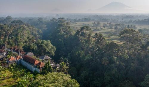 Tampaksiring Resort | Kawi Resort Ubud