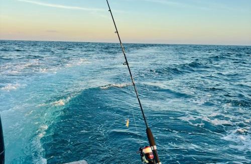 Sidakarya Boat Rental | Laguna Tour and Travel