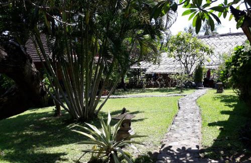 Amed Hotel | Le Jardin