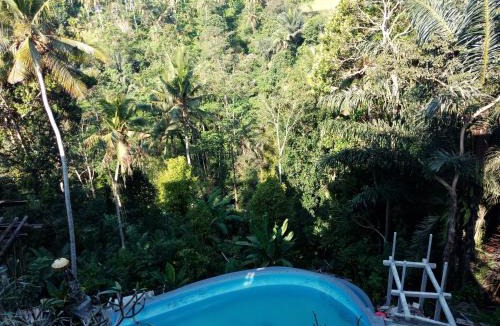 Sambahan House | Made Punia's Jungle