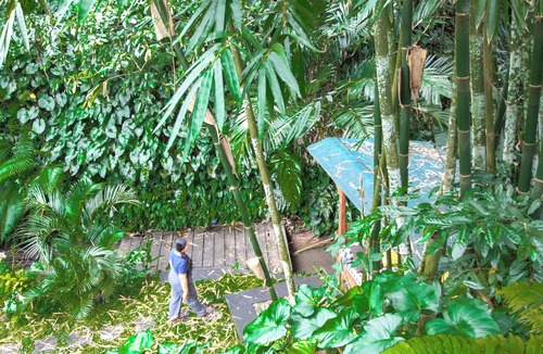 Singakerta Villa | Mambo Valley nYour Own Private Oasis in Ubud