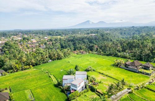 Sambahan Villa | Maple Ridge Ubud Villas with Rice Field View
