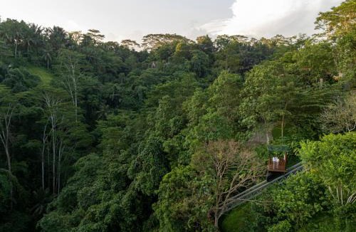 Melayang Resort | Metland Venya Ubud