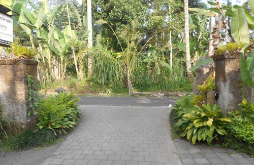 Taro Villa | Moringga Holiday Ubud