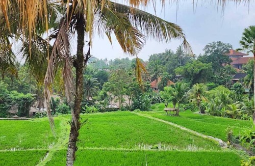 Pengosekan Villa | Motama Villa