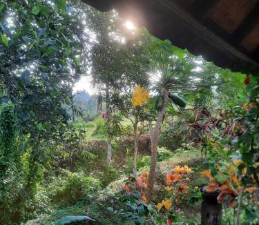 Sukasada House | Natha House - Riverside Homestay in Buleleng