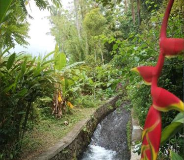 Sukasada House | Natha House - Riverside Homestay in Buleleng