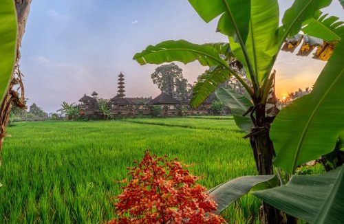 Melayang Villa | Niki - Temple Views Villa with Workspace&Garden
