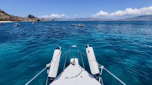 Labuan Bajo Boat Rental | One Day Trip by Speadboat to National Komodo Park