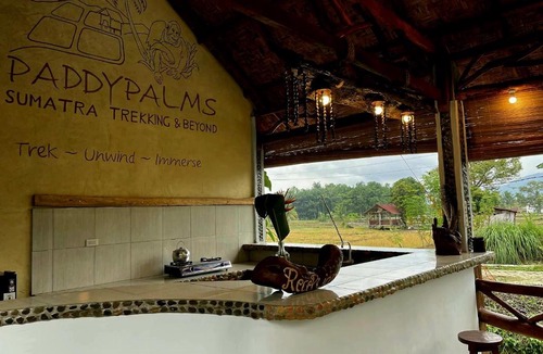 Bohorok Apartment | PaddyPalms Huts Trekking & Beyond