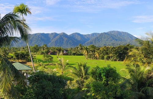 Bohorok Apartment | PaddyPalms Huts Trekking & Beyond