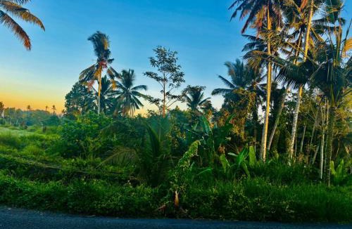 Kenderan Villa | pondok ubud nia cahya