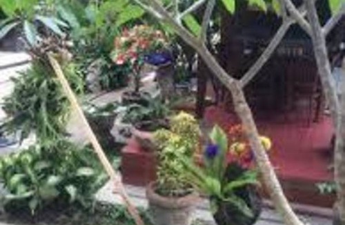 Pengosekan Resort | Private room ∙ 1 guest