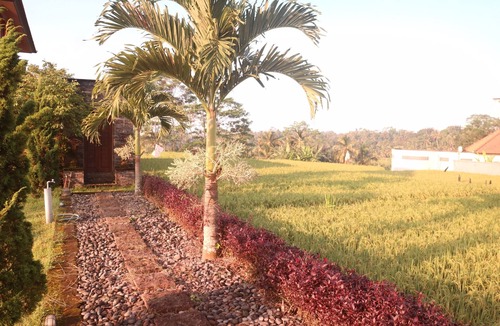 Tegallalang Villa | Ricefield view with a cultural vibe