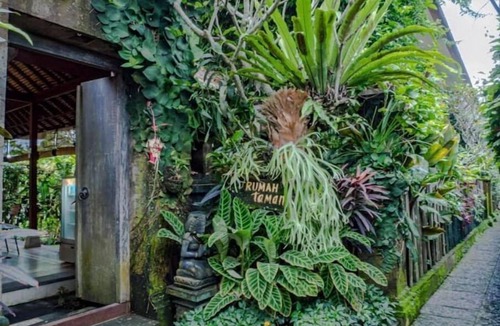 Melayang House | Rumah Taman Ubud - Sri Wedari