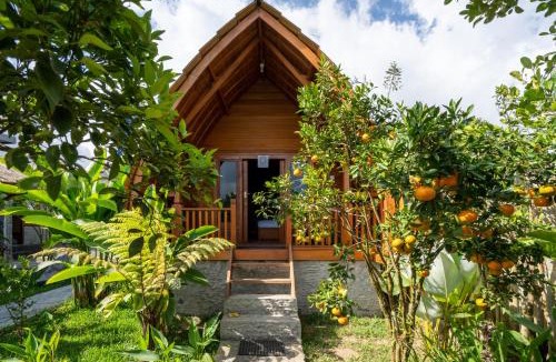 Songan Bed & Breakfast | Sandan Agro Resort Kintamni