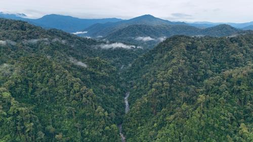 Bohorok Villa | Sumatra Orangutan Treks Villa,Ethical & Eco-Friendly Jungle Trekking Activities