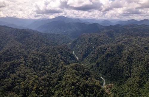 Bohorok Villa | Sumatra Orangutan Treks Villa,Ethical & Eco-Friendly Jungle Trekking Activities