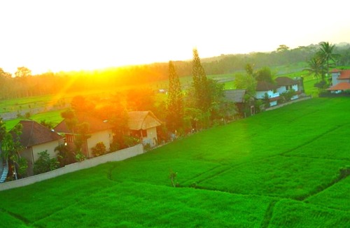 Pengosekan Bed & Breakfast | Superior One Room near Yoga Barn and Monkey Forest #A6