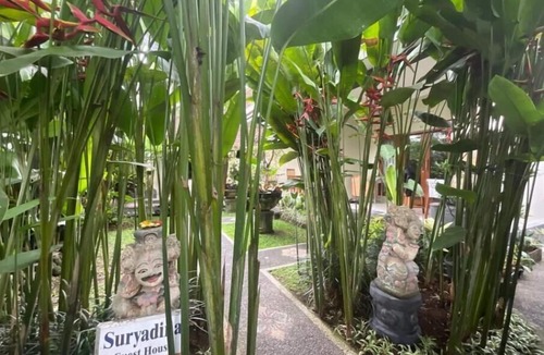 Sayan Bed & Breakfast | Suryadina Guest House - cozy room in Ubud center