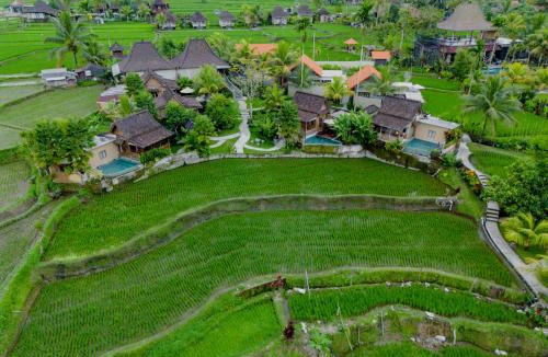Sebatu Resort | Taksu Resort Ubud by Dhananjaya Hospitality