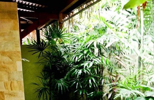 Lodtunduh House | The Absolute Dream 4 You Ubud Bali