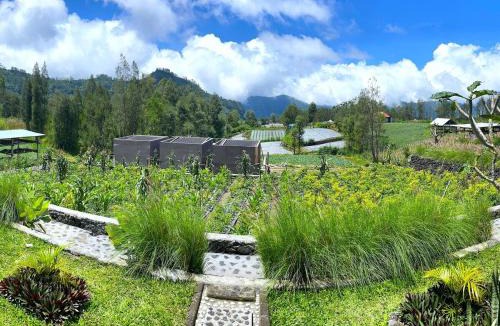 Songan House | The Iris Volcano