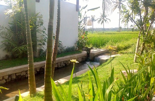 Kemenuh Villa | Tranquil breezy rice field villa w/private pool