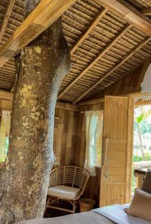 Sebatu House | Tree bamboo house